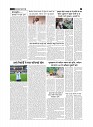 page-2_1