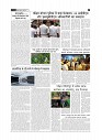 page-2_1
