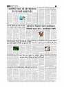 page-3_1